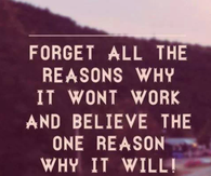 Forget all the reasons it won't work