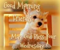 Good Morning Wednesday