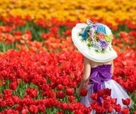 Little Girl in Red Tulips Field