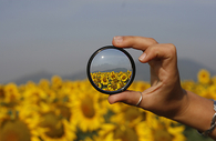 Through the looking glass