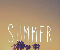 summer 2014