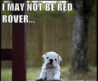 I may not be Red Rover...