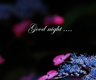 Good Night