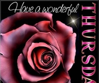 Have a wonderful Thursday