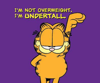 Im not overweigt