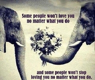 Go Where the Love Is