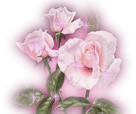 Good Afternoon