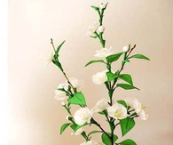 DIY Fabric Bonsai