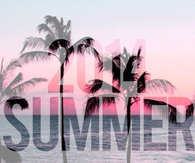 2014 summer