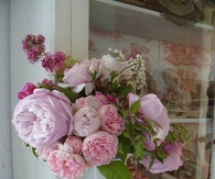 Pink Peonies and English Roses