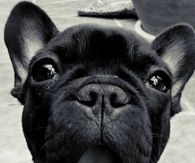 Did you say Friday
