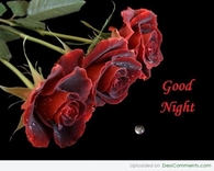 Good Night
