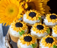 Sunflower cupcakes