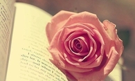 Rose and a book