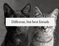 Different but best friends
