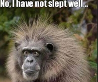 No I have no slept