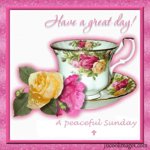 Have a great peaceful Sunday