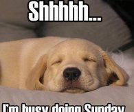 Shh I'm busy doing Sunday