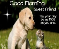 Good Morning