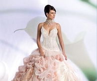 Gorgeous Two Tone Wedding Dress