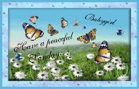 Have a peaceful Sunday Babygirl