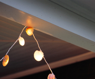 Seashell Lights