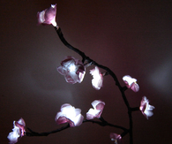 Cherry Blossom Lights