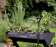 Bench Turned into Herb Garden