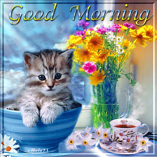 Good Morning