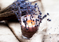 Lavender Candle Holders
