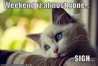 Weekend is almost gone
