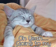 good night