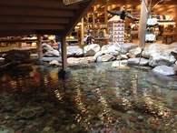 Indoor pond