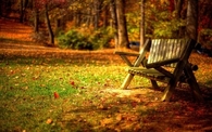 Empty bench