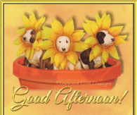 Good Afternoon