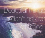 Beautiful things dont ask for attention