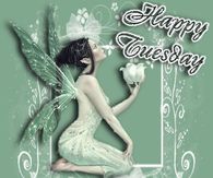 Happy Tuesday