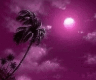 Purple Ocean