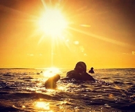 Surf