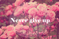 Never give up