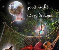 Good Night Sweet Dreams