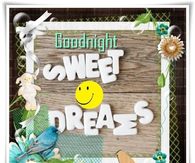 Good Night Sweet Dreams