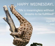 Happy Wednesday