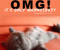 Its only Wednesday