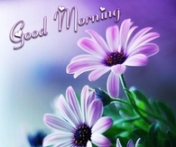 Good Morning