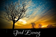 Good Evening