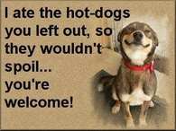 I ate the hotdogs