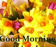 Good Morning Friends