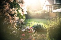 Flower garden