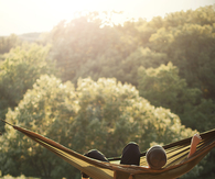 Relaxing day